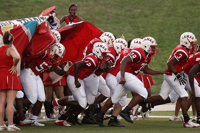 到了球队新 到了球队新