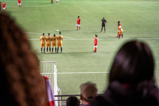 够快速适应 够快速适应